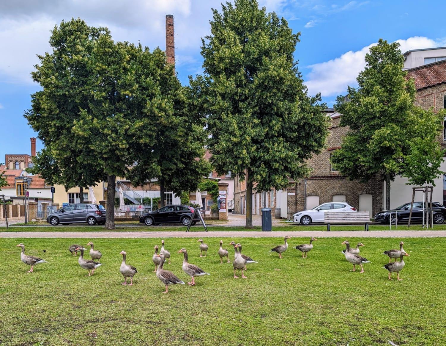 Appartamento Lendelhaus & Historische Saftfabrik Werder Werder  Esterno foto
